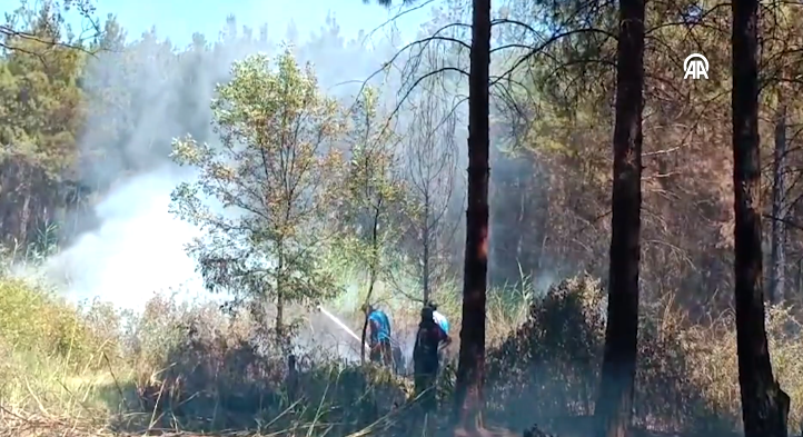 VİDEO - Dicle Üniversitesi yerleşkesindeki yangın söndürüldü