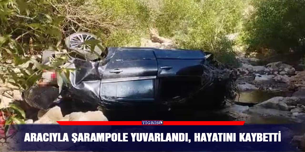 Aracıyla şarampole yuvarlandı, hayatını kaybetti