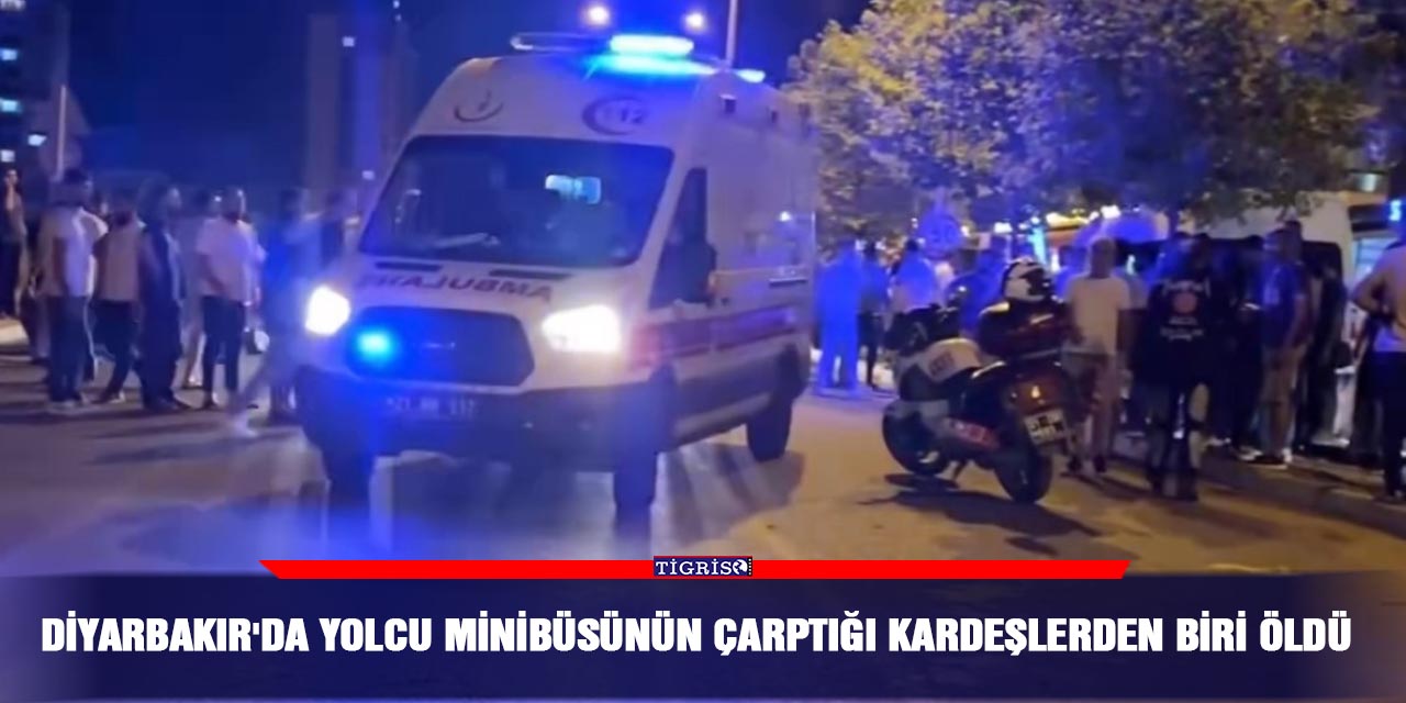 Diyarbakır'da yolcu minibüsünün çarptığı kardeşlerden biri öldü