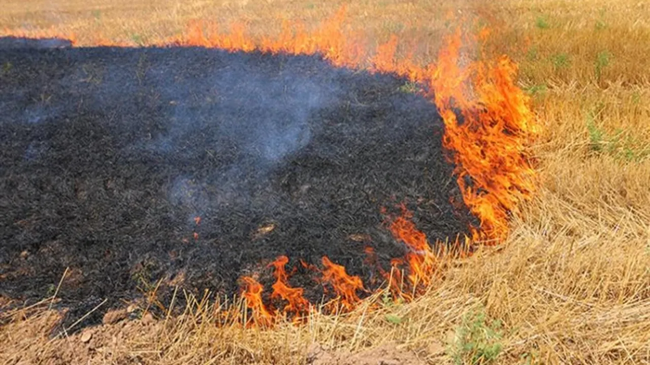 Şanlıurfa’da anız yakan 206 kişiye 14 milyon TL ceza