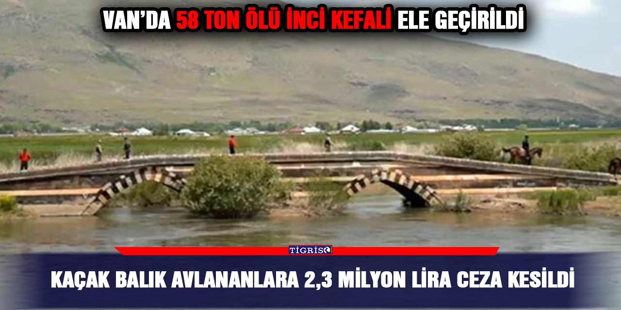 Kaçak balık avlananlara 2,3 milyon lira ceza kesildi