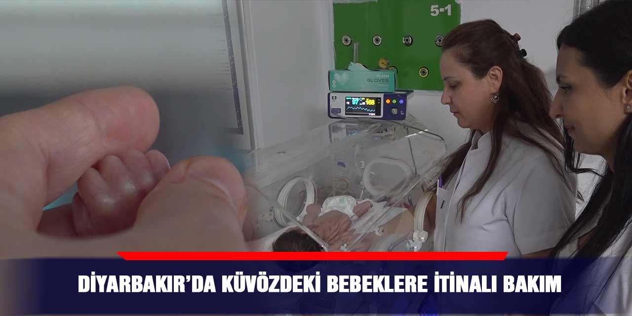 VİDEO - Diyarbakır’da küvözdeki bebeklere itinalı bakım