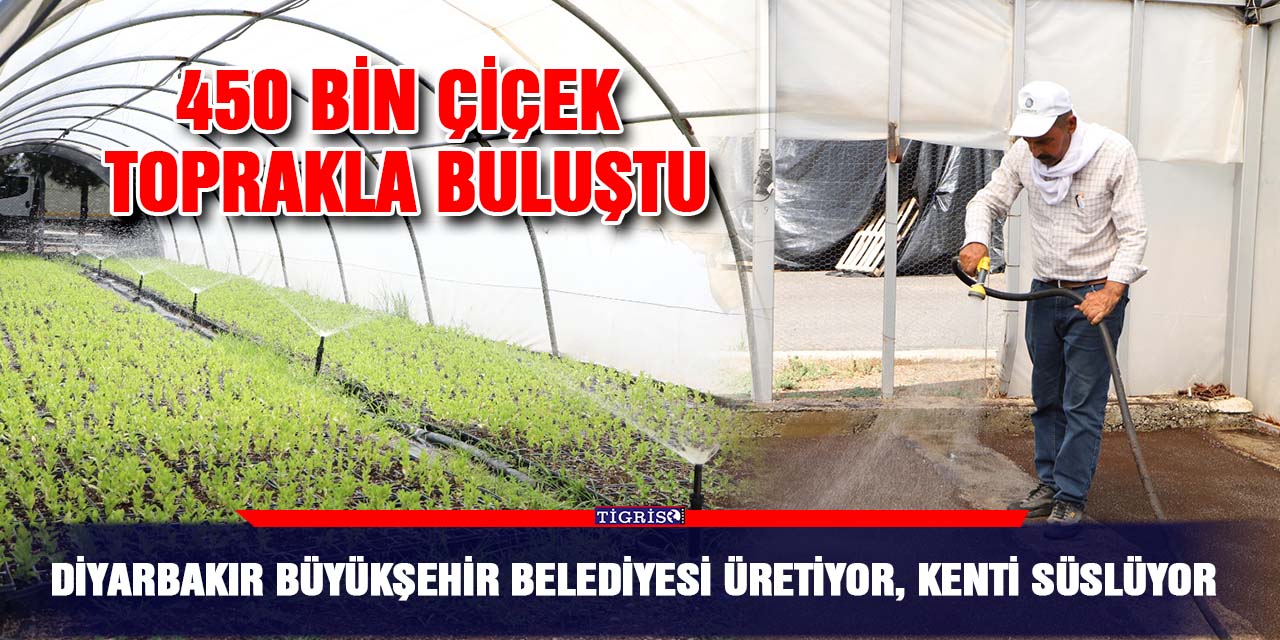 Diyarbakır Büyükşehir Belediyesi üretiyor, kenti süslüyor