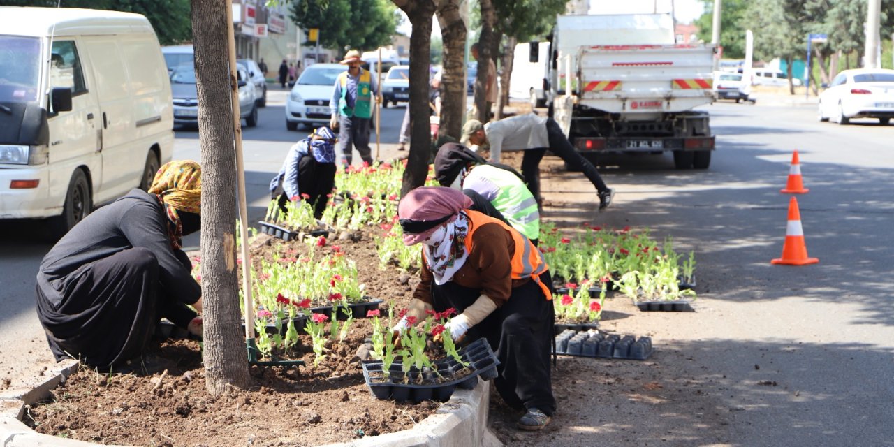 Diyarbakır'ın bazı bulvar ve caddelerine 26 bin 500 çiçek ekildi