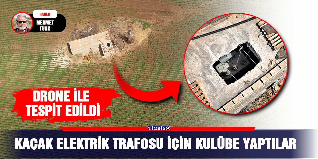 VİDEO - Kaçak elektrik trafosu için kulübe yaptılar