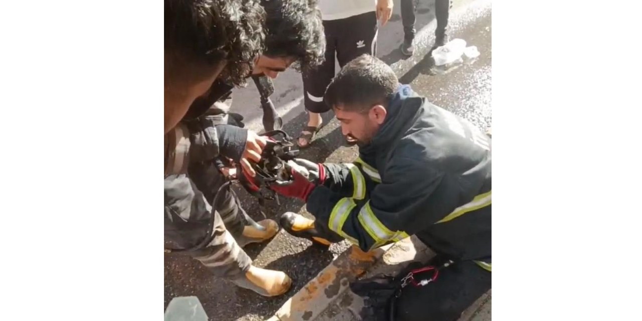 Diyarbakır’da yangından kurtarılan kediye oksijen destekli müdahale