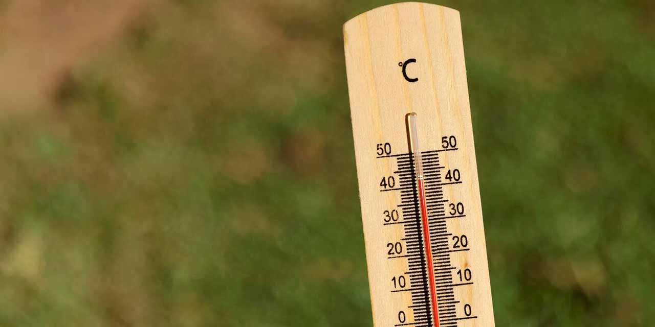 Bu Besinler ile Sıcak Çarpmasından Korunun!