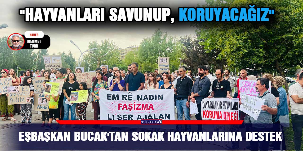 Eşbaşkan Bucak'tan sokak hayvanlarına destek