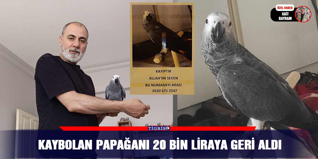 Kaybolan papağanı 20 bin liraya geri aldı