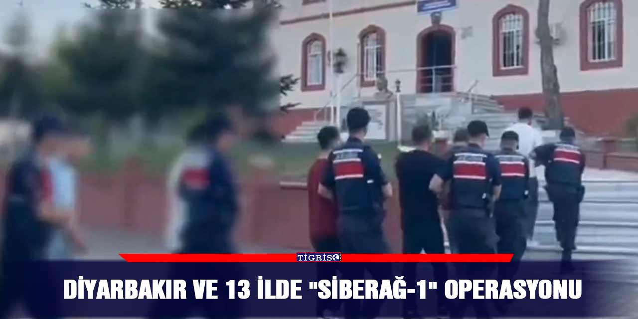 VİDEO - Diyarbakır ve 13 ilde "Siberağ-1" operasyonu