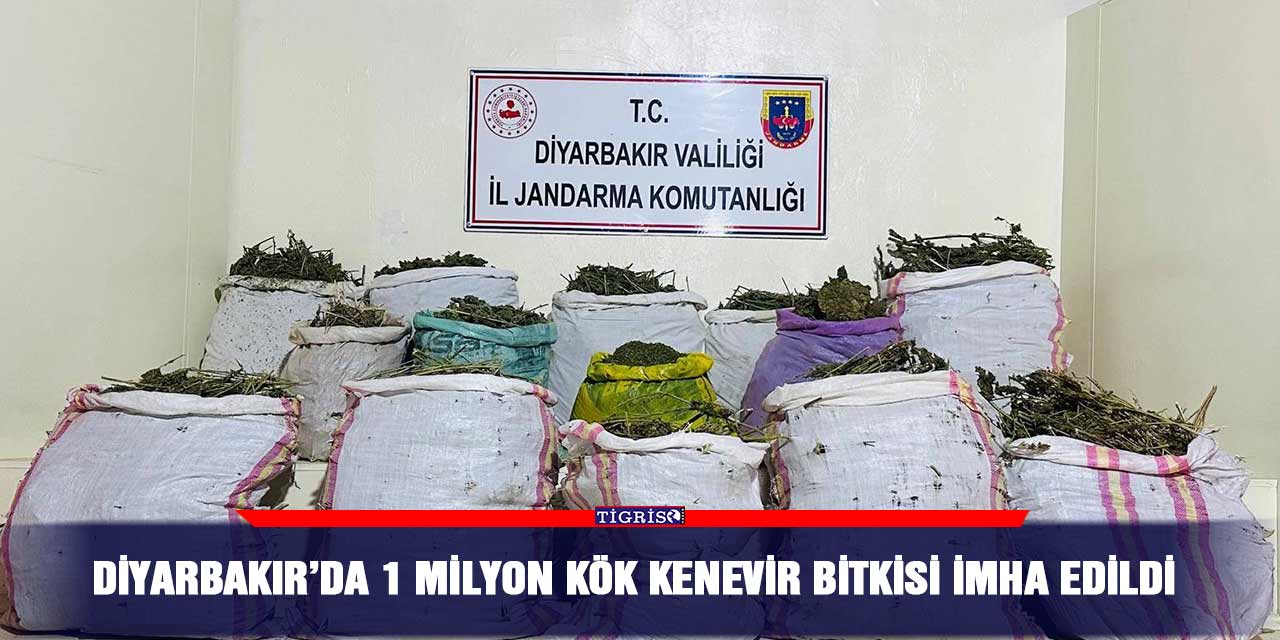 Diyarbakır’da 1 milyon kök kenevir bitkisi imha edildi