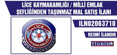 LİCE KAYMAKAMLIĞI / MİLLİ EMLAK ŞEFLİĞİNDEN TAŞINMAZ MAL SATIŞ İLANI
