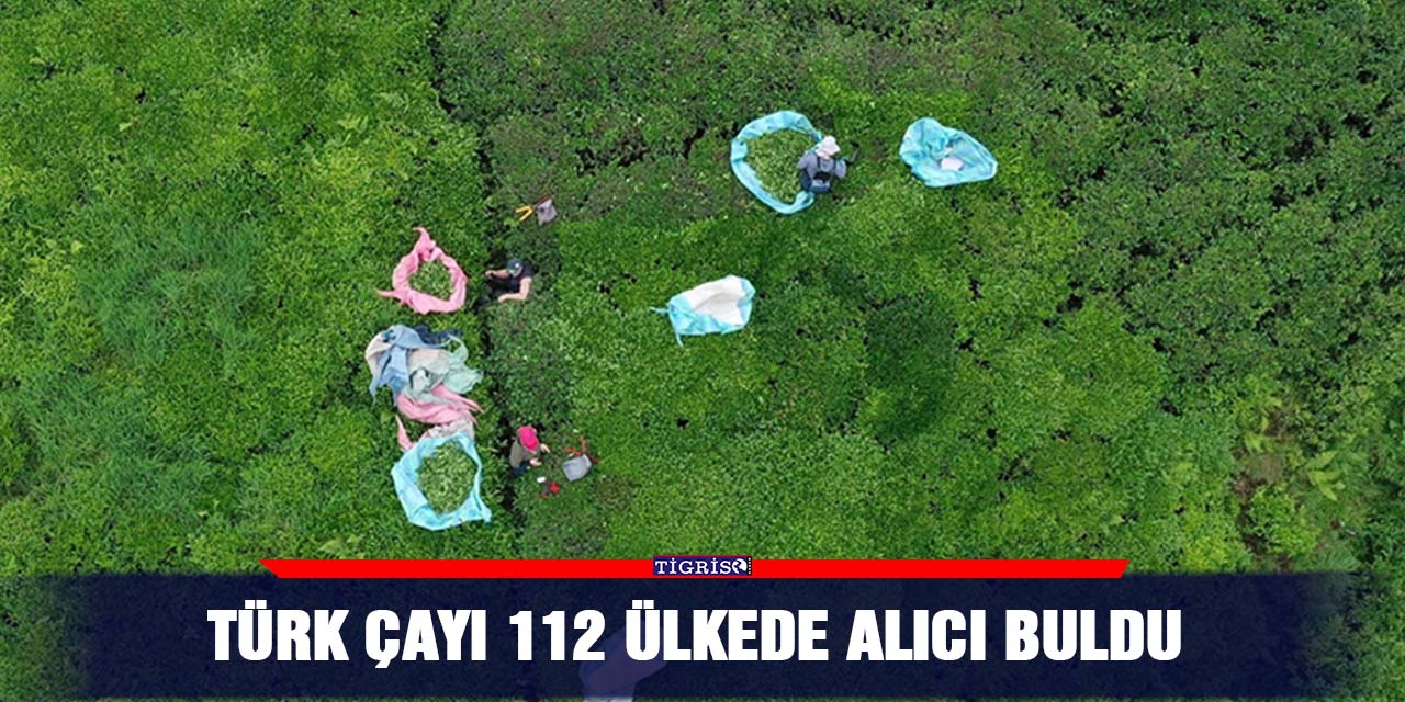 Türk çayı 112 ülkede alıcı buldu