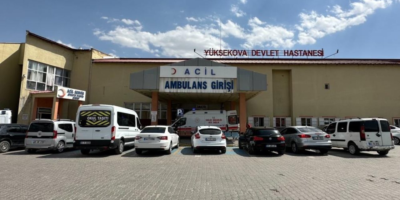 Mayına basan çoban hayatını kaybetti