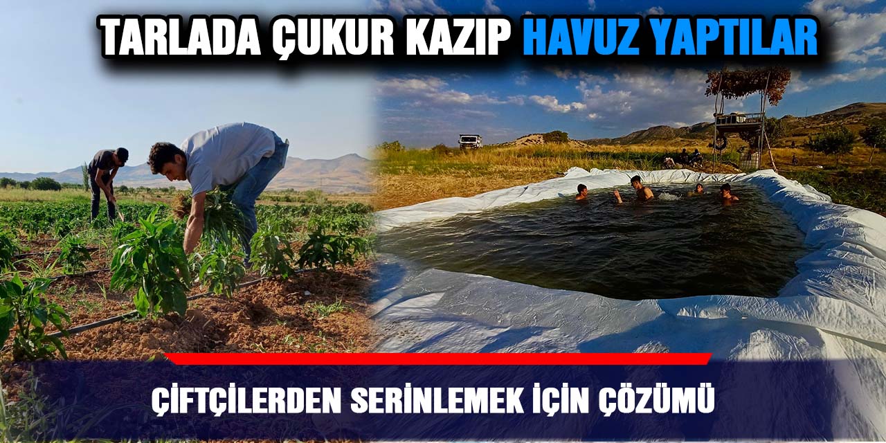 Çiftçilerden serinlemek için çözümü