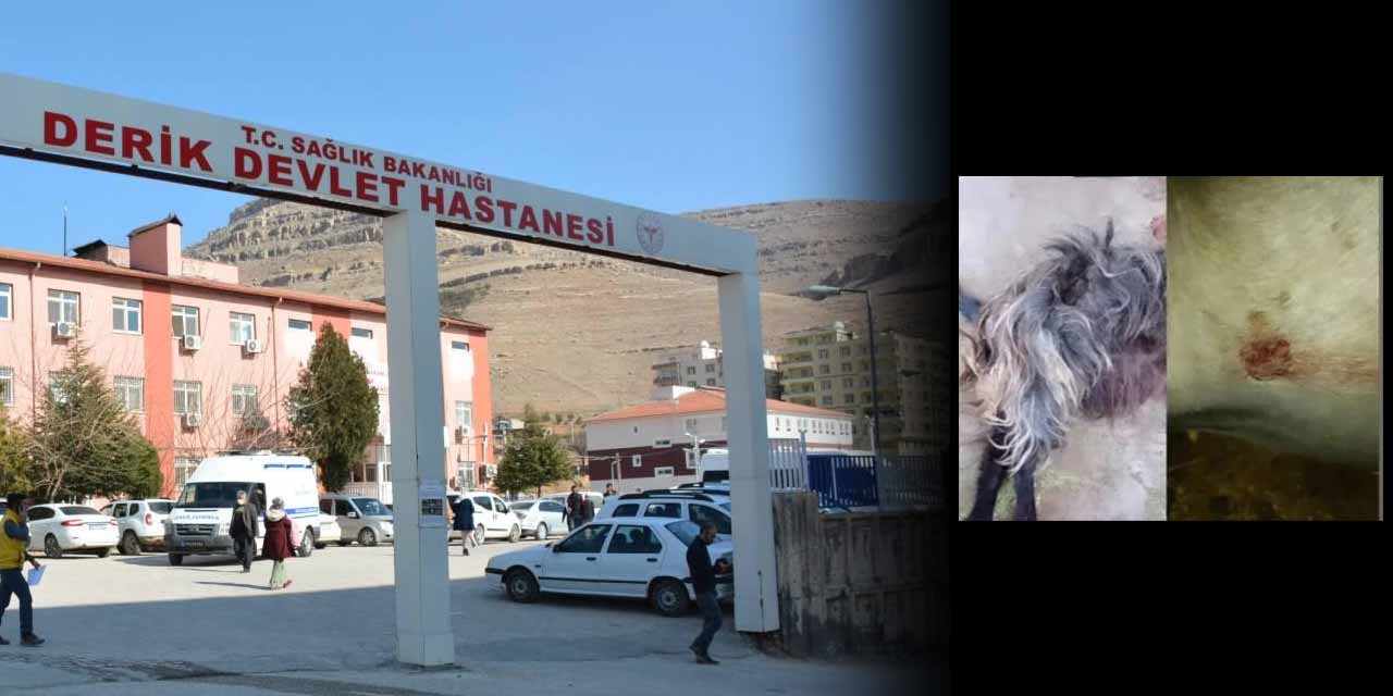 Derik İlçesinde Husumetliler Çatıştı: 1 Ölü, 1 Yaralı