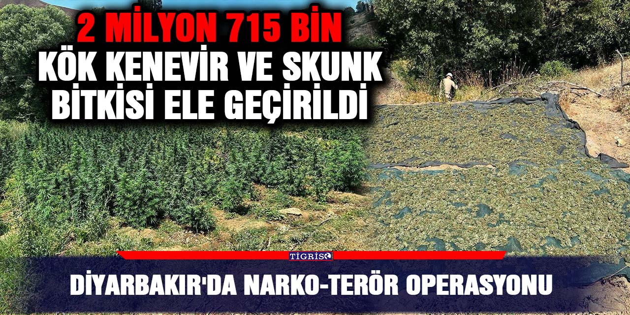Diyarbakır'da Narko-Terör Operasyonu