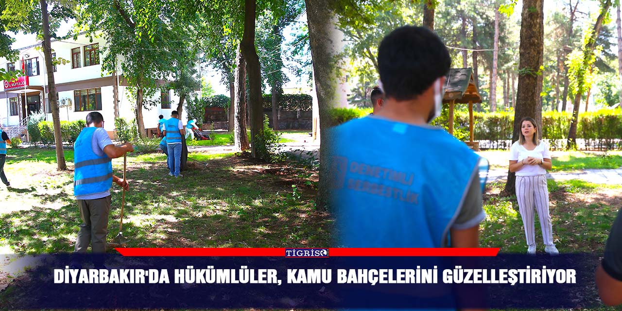 Diyarbakır'da hükümlüler, kamu bahçelerini güzelleştiriyor