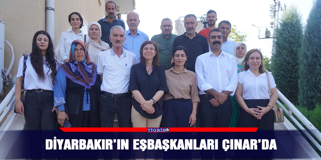 Diyarbakır’ın eşbaşkanları Çınar’da