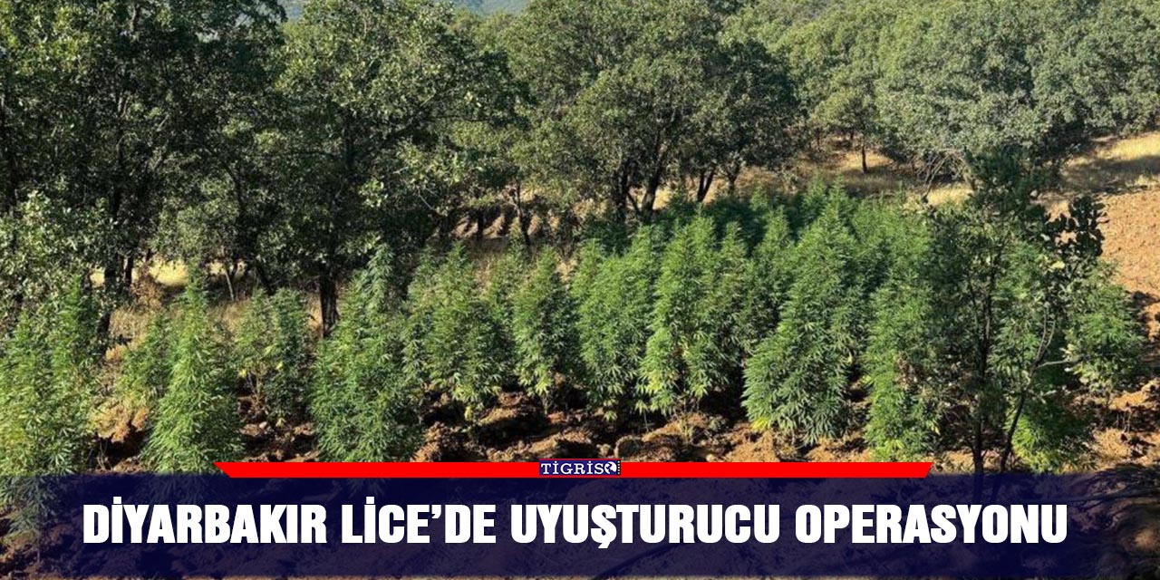 Diyarbakır Lice’de uyuşturucu operasyonu