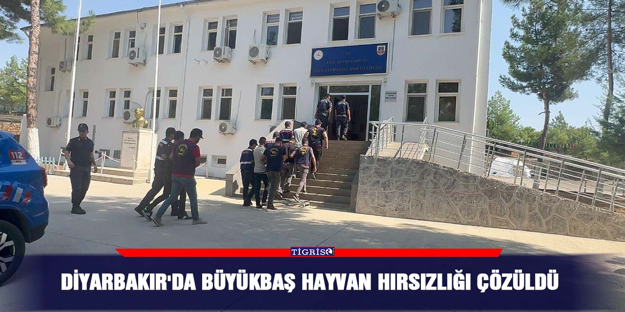 Diyarbakır'da Büyükbaş Hayvan Hırsızlığı Çözüldü