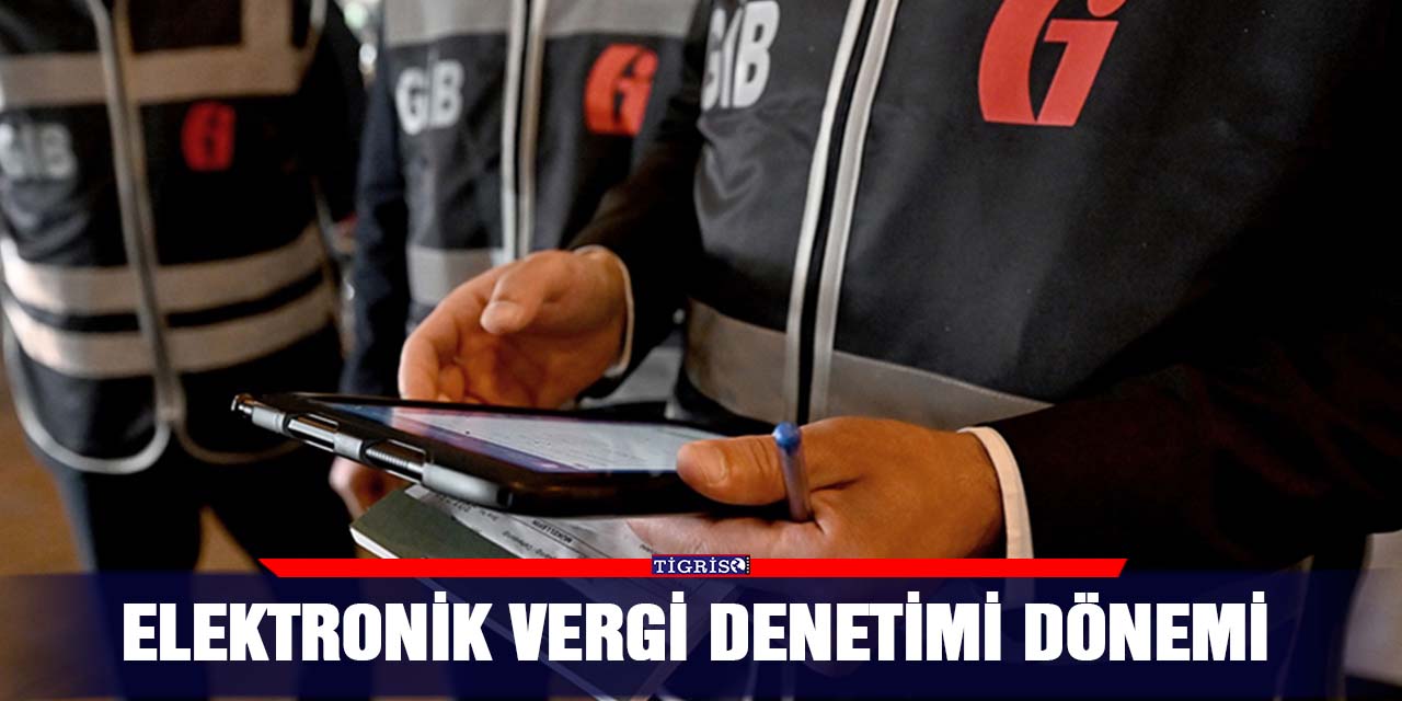 Elektronik vergi denetimi dönemi