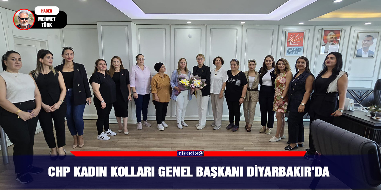 CHP Kadın kolları Genel Başkanı Diyarbakır’da