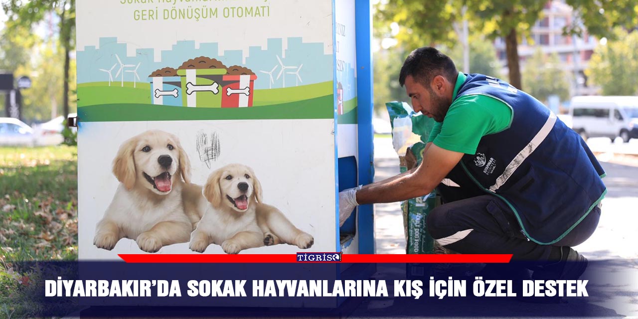 Diyarbakır’da sokak hayvanlarına kış için özel destek