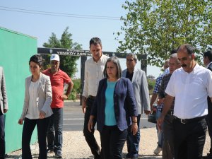 Kışanak, çalışmaları denetledi