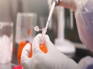 Hepatit B, yılda 600 bin ölüme neden oluyor