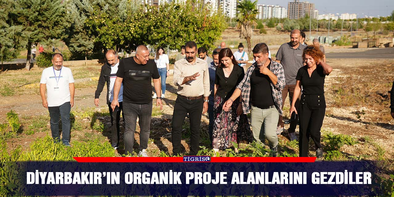 Diyarbakır’ın organik proje alanlarını gezdiler