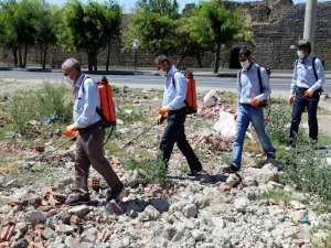 Diyarbakır'da "akrep timi"