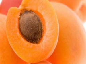 Acı kayısı çekirdeğinin, kanserli hücreleri öldürdüğü belirlendi