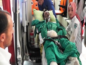 Lice acımız büyüyor