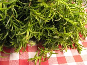 Taze kekik kan şekerini ayarlıyor