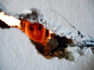 Mecbur olmasalar yaşarlar mı?