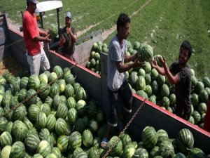Temmuz ayının şampiyonu karpuz