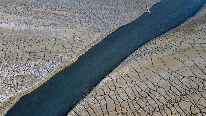 Her yıl 75 milyar ton toprak erozyona uğruyor