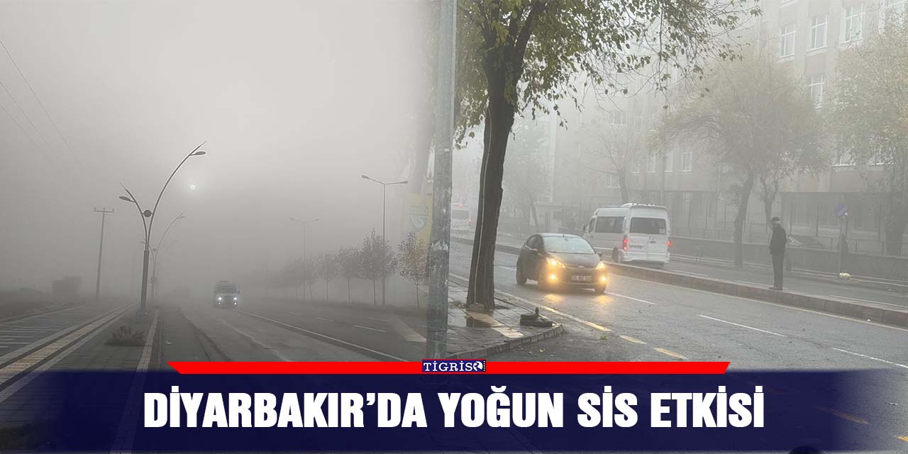 Diyarbakır’da yoğun sis etkisi