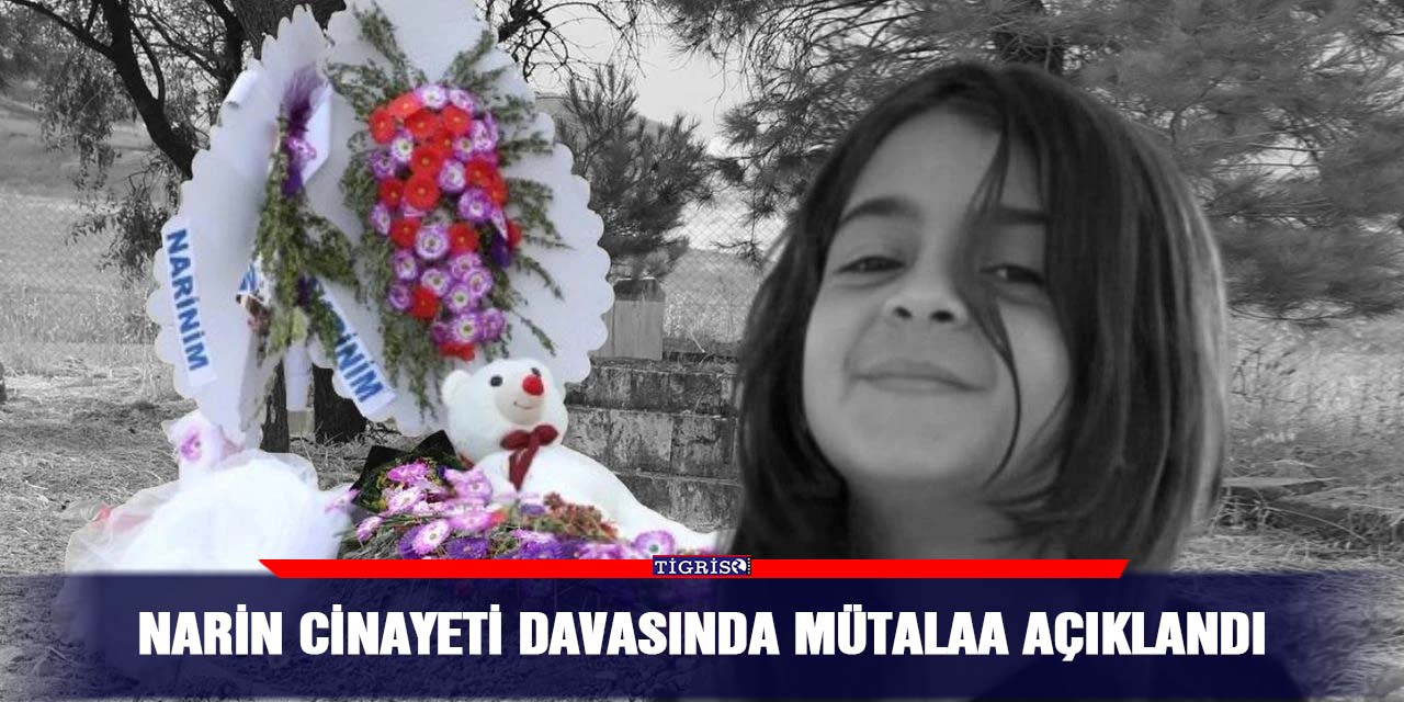 Narin  cinayeti davasında mütalaa açıklandı