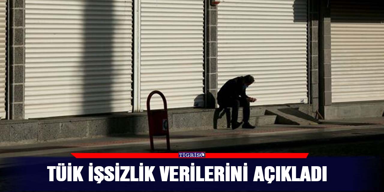 TÜİK işsizlik verilerini açıkladı
