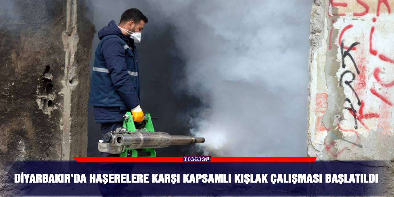 Diyarbakır’da haşerelere karşı kapsamlı kışlak çalışması başlatıldı