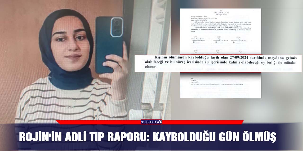 Rojin'in Adli Tıp Raporu: Kaybolduğu gün ölmüş
