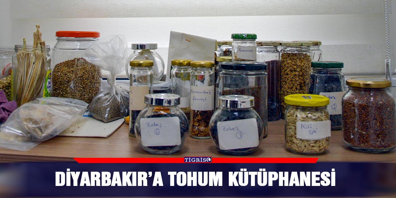 Diyarbakır’a Tohum Kütüphanesi