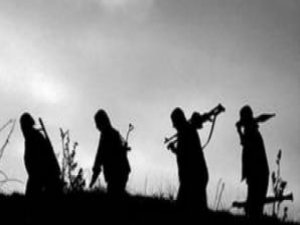 Silvan baraj’ında çalışan mühendis kaçırıldı