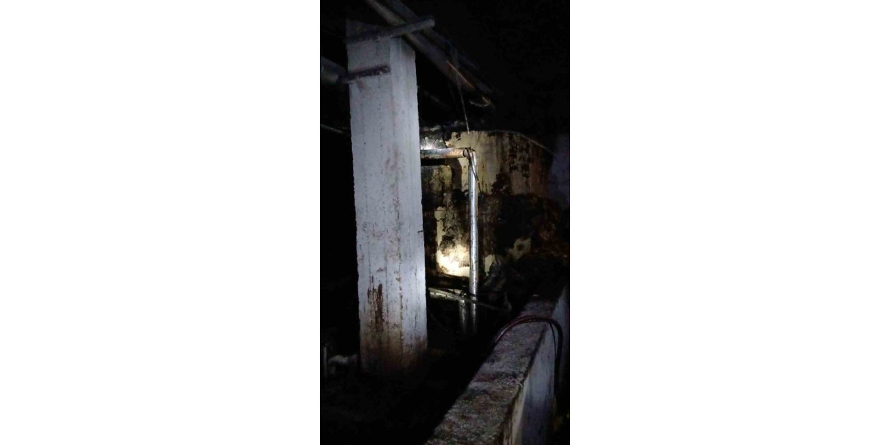 Yem fabrikasında yangın