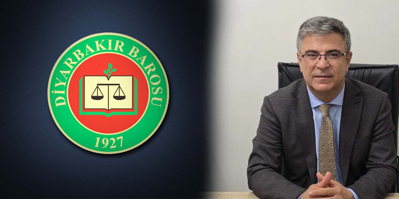 Diyarbakır Barosu Başkanı Güleç'ten Rojin açıklaması: Cinayete dair kuşkularım var