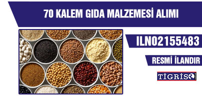 70 KALEM GIDA MALZEMESİ ALIMI