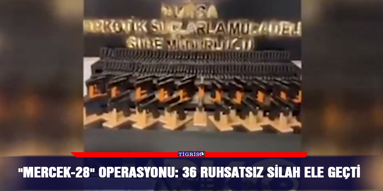 "Mercek-28" operasyonu: 36 ruhsatsız silah ele geçti