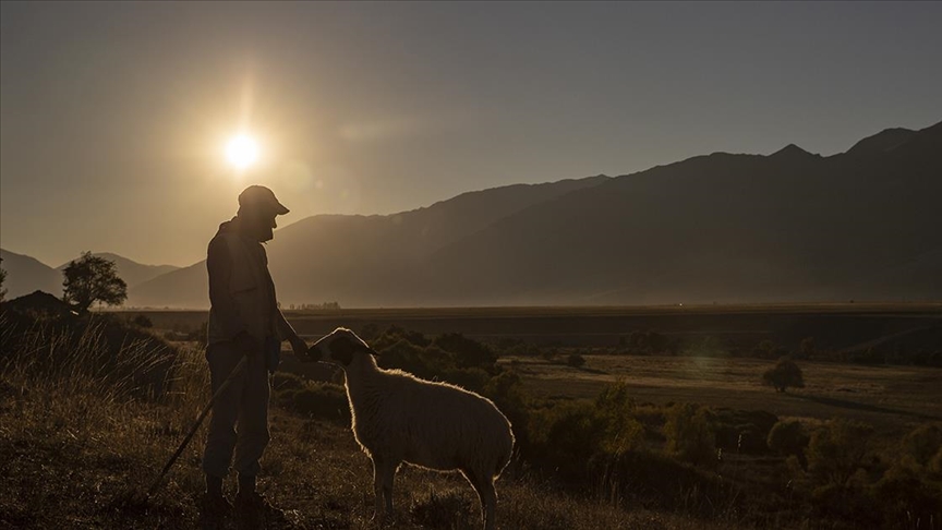 Türkiye kırsalda azalıyor!